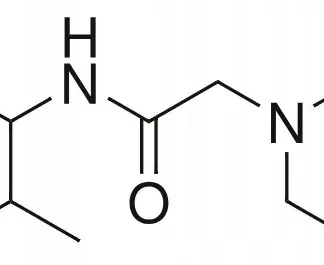 lidokaina proszek 1g — zdjęcie produktu